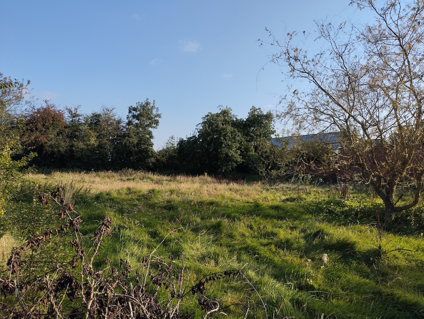 Terrain à vendre à Bradiancourt en Normandie | 1050 m2